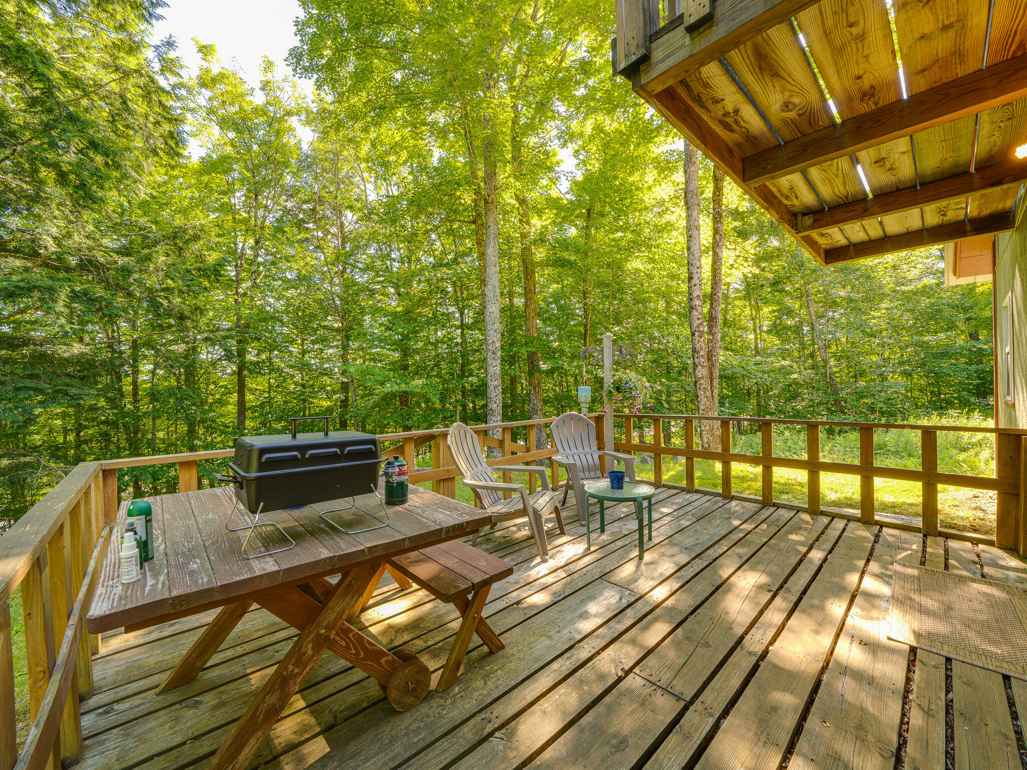 1502 Tupper Road Long Lake, NY 12847 - Photo 65 of 89 Gallery Image 65