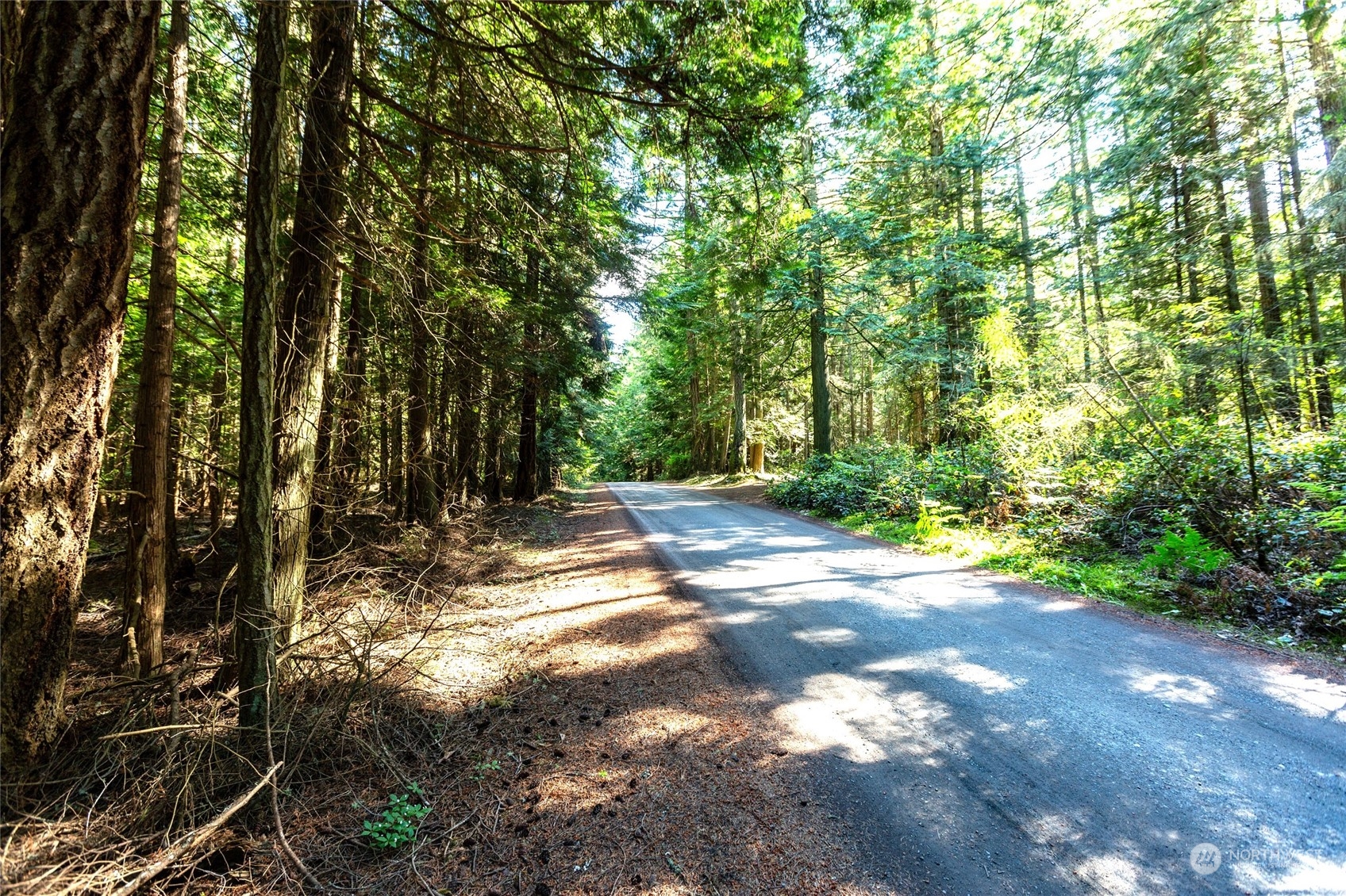 0 Byron Road Friday Harbor, WA 98250 - Photo 11 of 16 Gallery Image 11