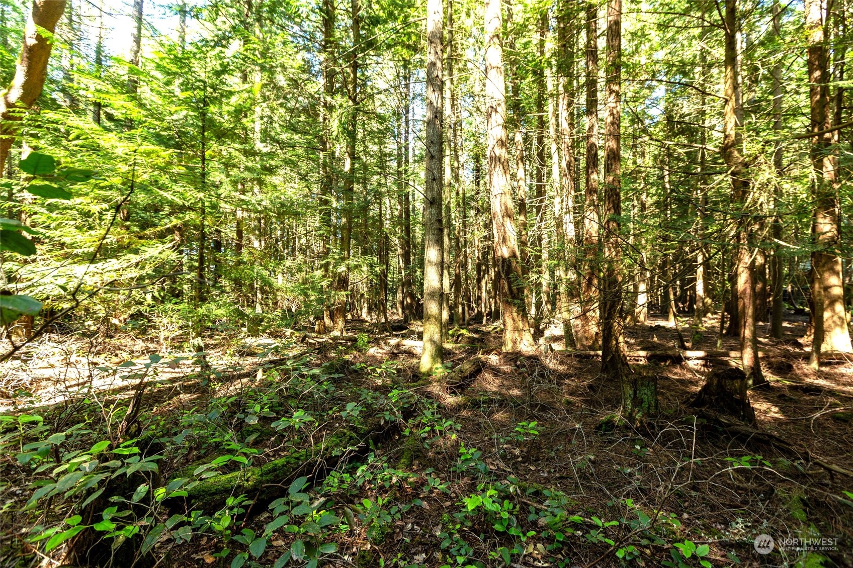 0 Byron Road Friday Harbor, WA 98250 - Photo 14 of 16 Gallery Image 14