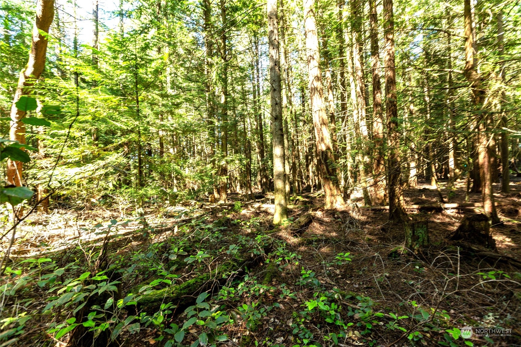 0 Byron Road Friday Harbor, WA 98250 - Photo 15 of 16 Gallery Image 15