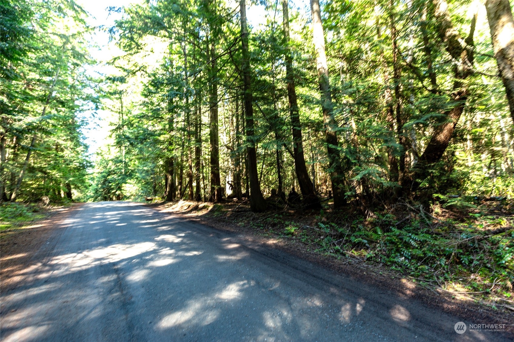 0 Byron Road Friday Harbor, WA 98250 - Photo 5 of 16 Gallery Image 5