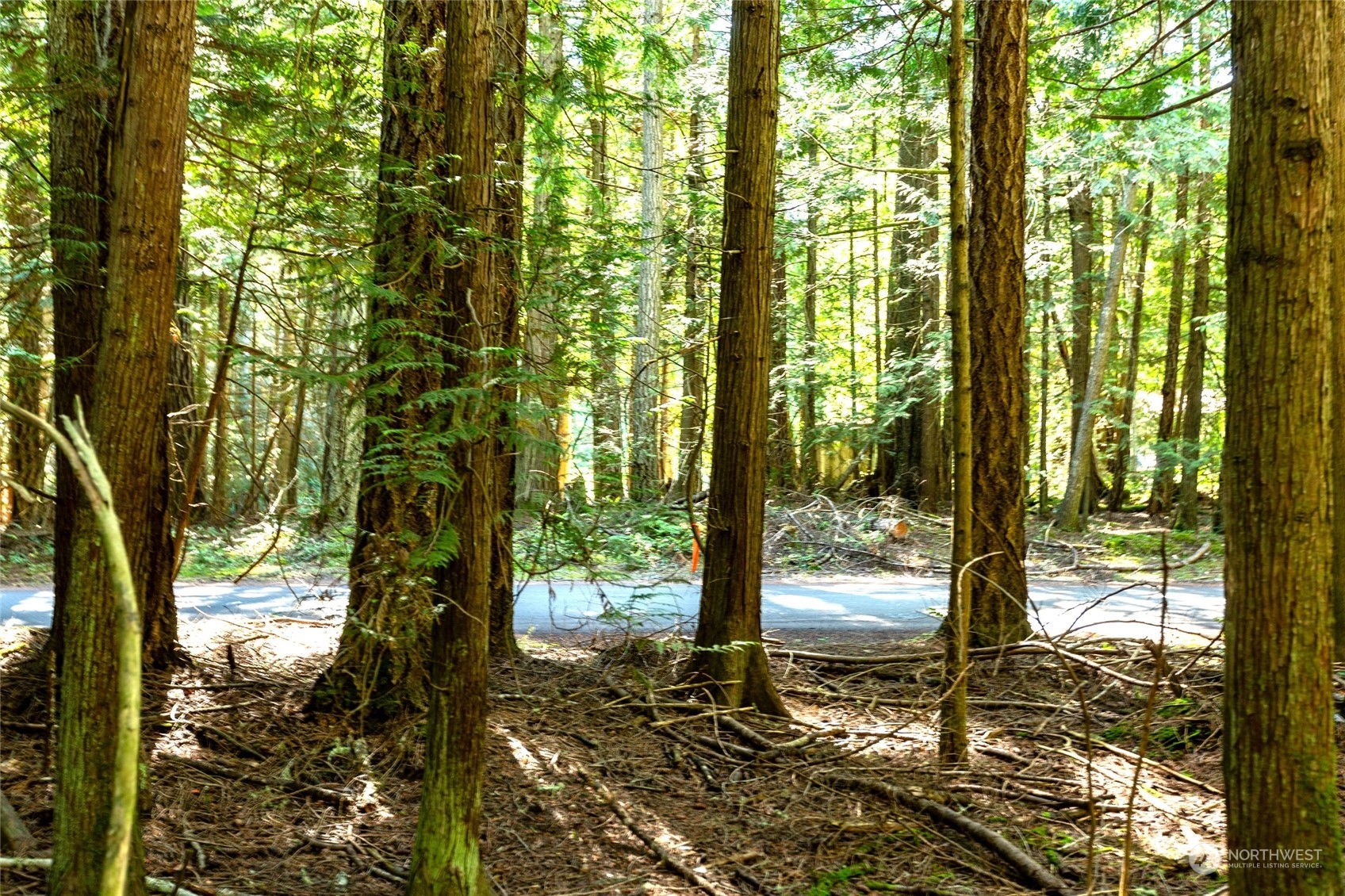 0 Byron Road Friday Harbor, WA 98250 - Photo 6 of 16 Gallery Image 6