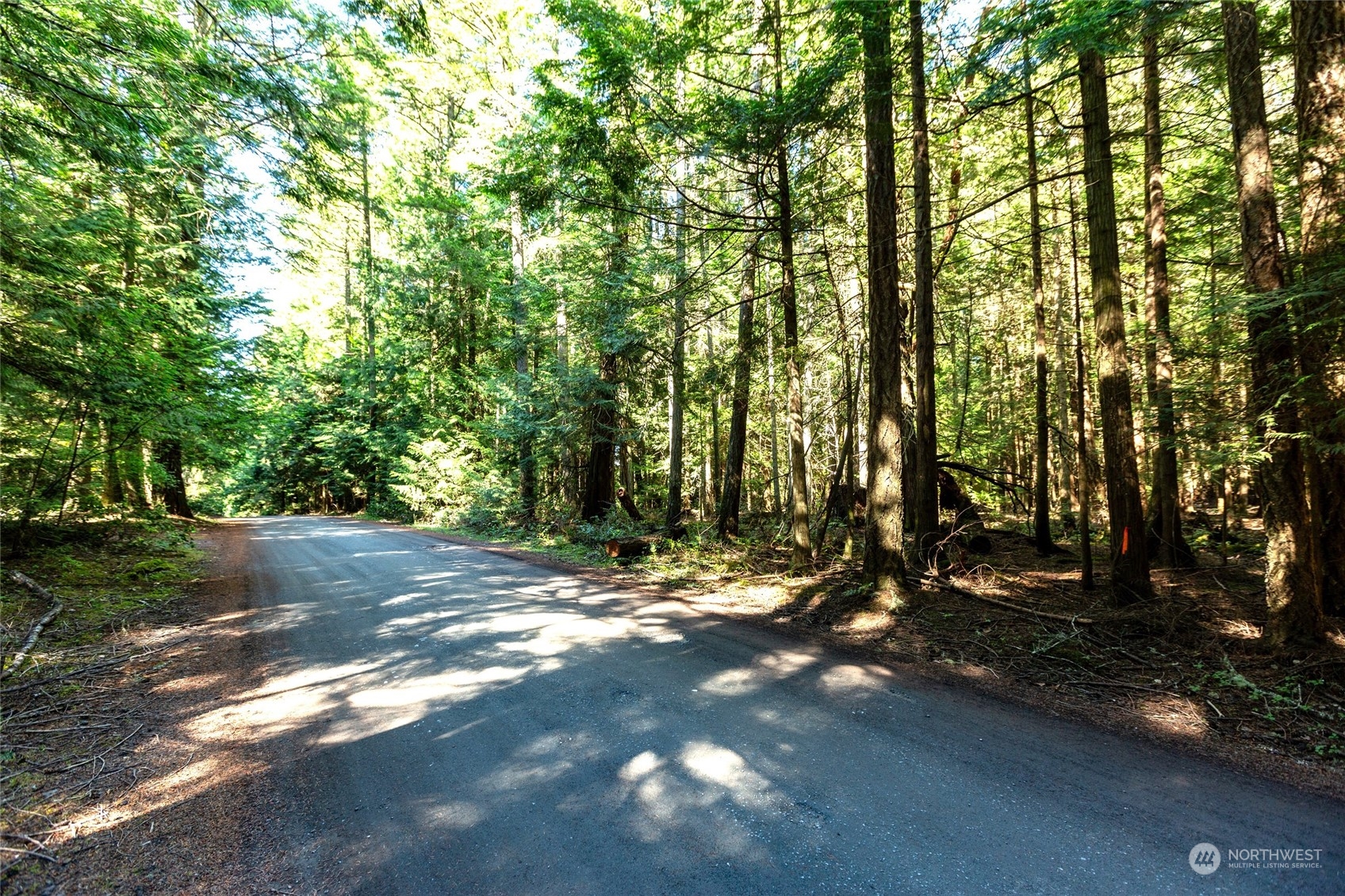 0 Byron Road Friday Harbor, WA 98250 - Photo 7 of 16 Gallery Image 7
