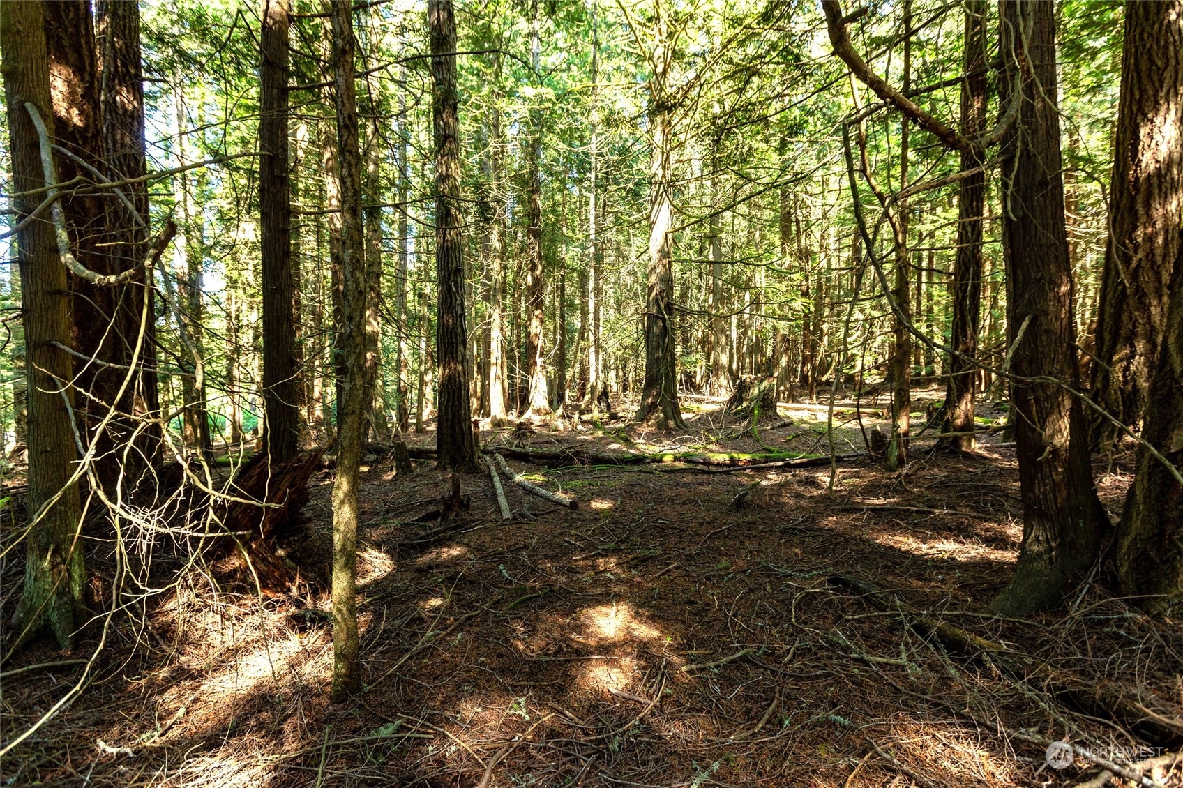 0 Byron Road Friday Harbor, WA 98250 - Photo 10 of 16 Gallery Image 10