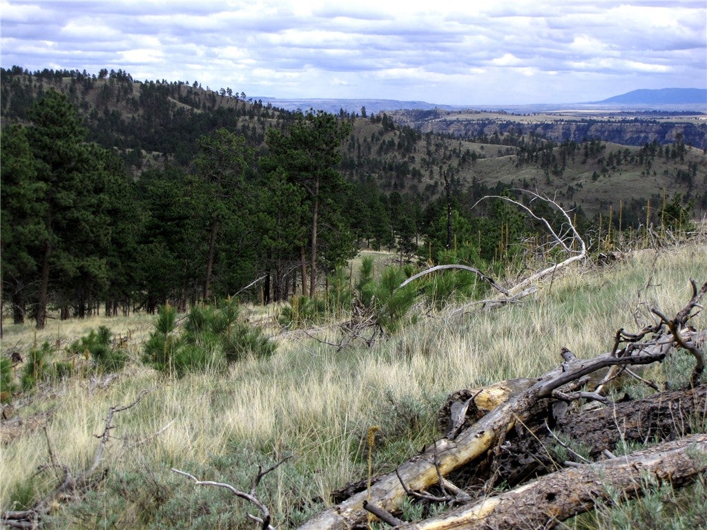Nhn Nhn Wild Turkey Ridge Road Columbus, MT 59019 - Photo 38 of 47 Gallery Image 38