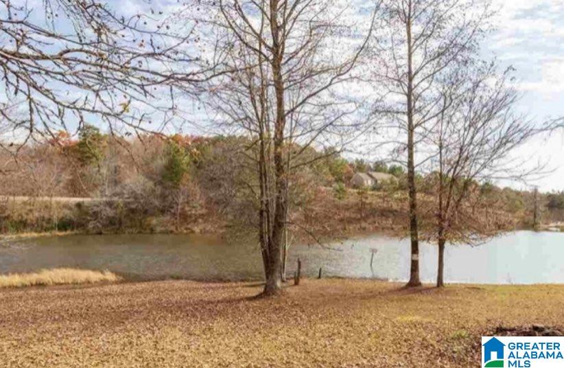 159 Quail Hollow Road Warrior, AL 35180 - Photo 21 of 21