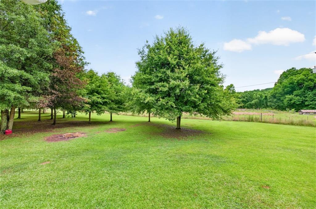 602 Pendergrass Road Winder, GA 30680 - Photo 9 of 44 a view of a trees in a yard