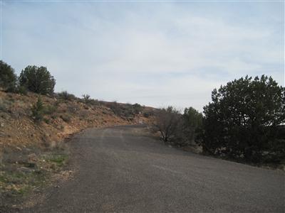 4345 Seneca Lane, Unit 5 Rimrock, AZ 86335 - Photo 4 of 4 a view of a dry yard with trees in back