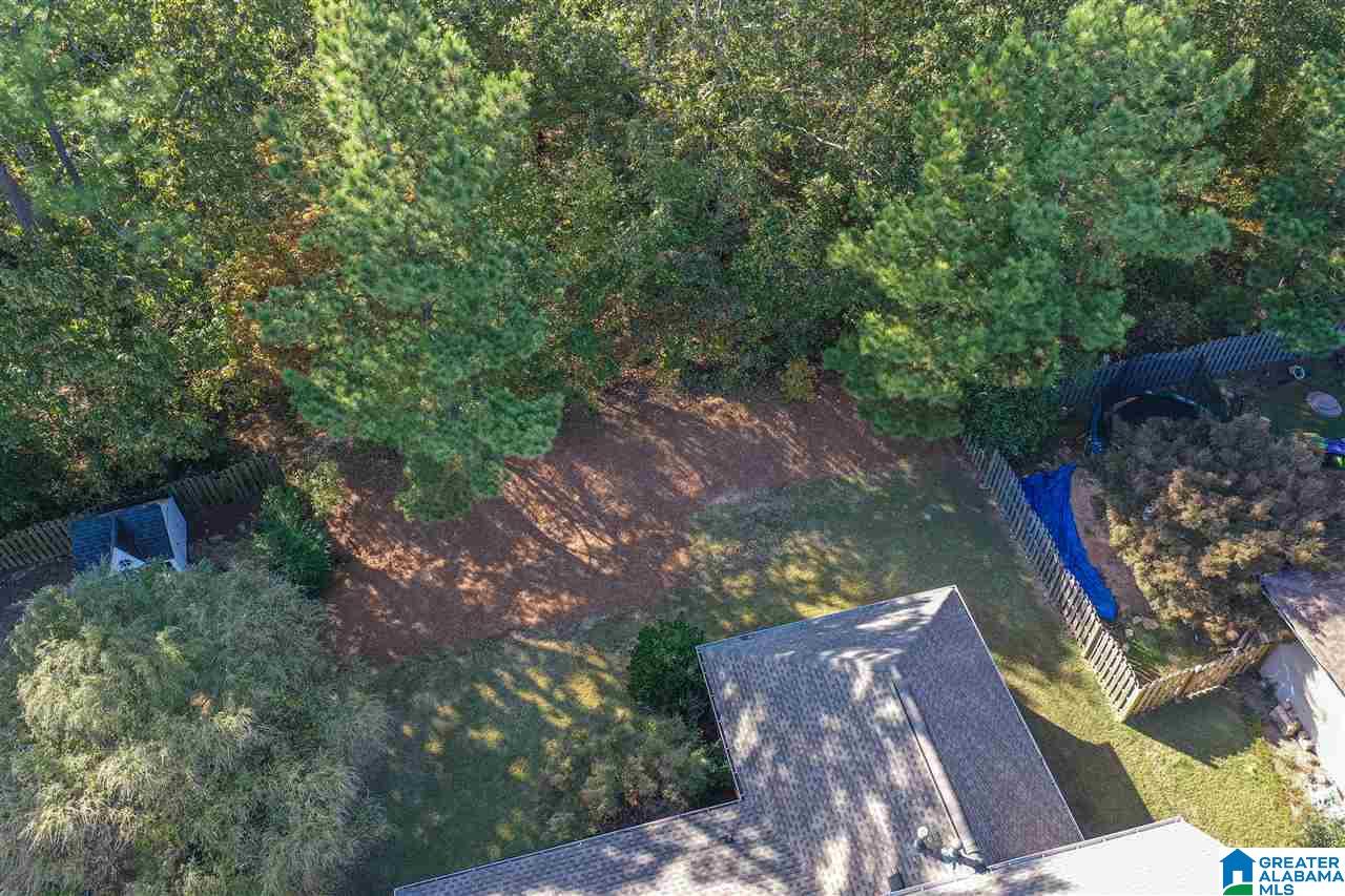 2350 Freestone Ridge Cove Birmingham, AL 35226 - Photo 46 of 49