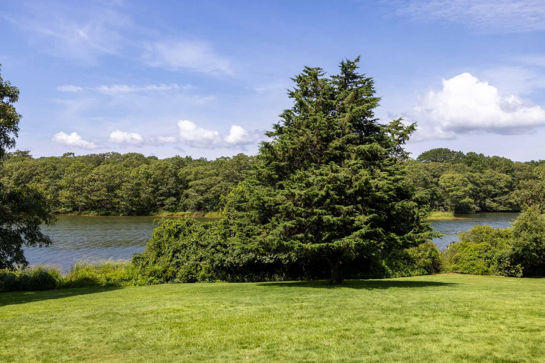 81 Oyster Pond Road Edgartown, MA 02539 - Photo 35 of 41 Waterview from Yard