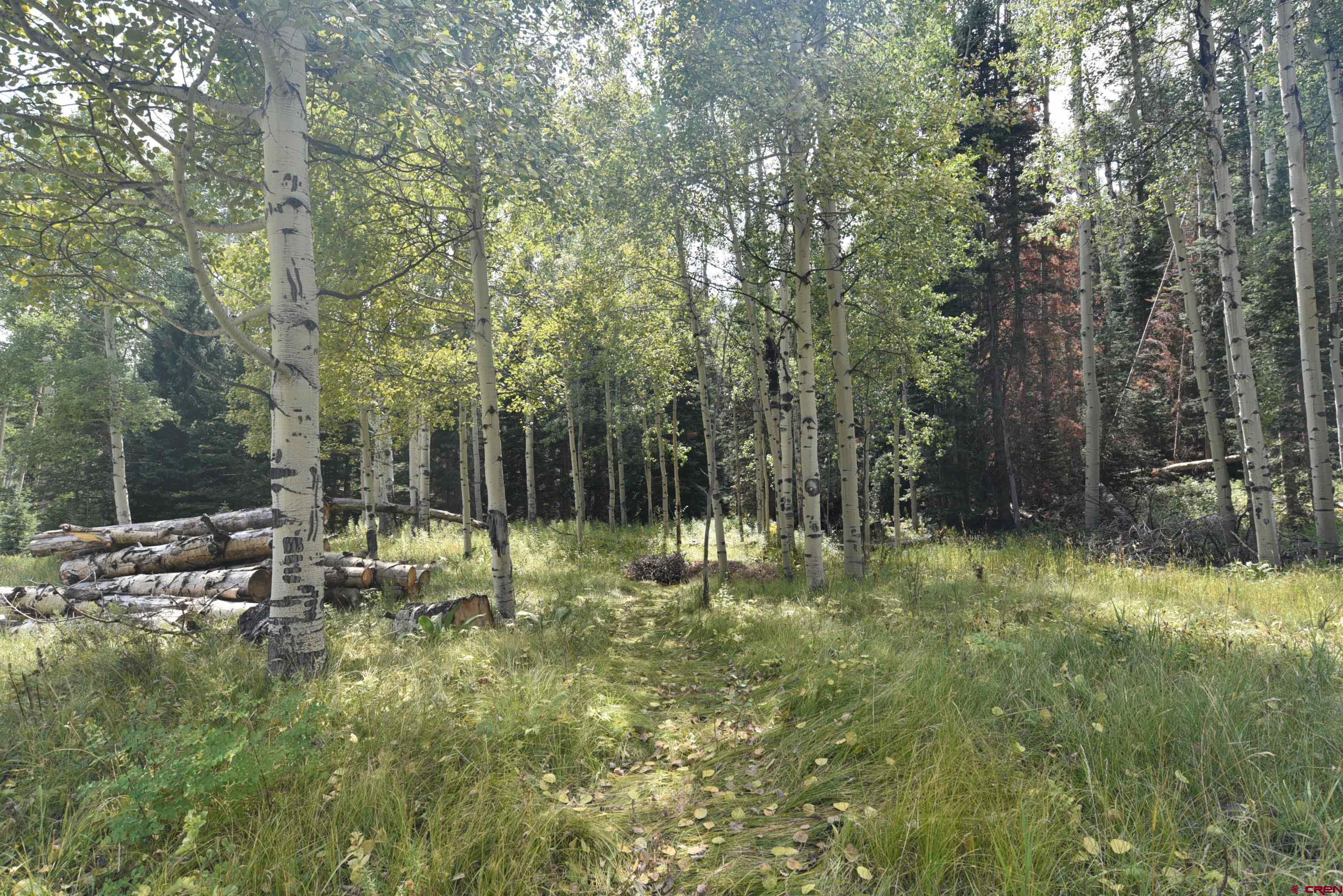 704 Hampton Road Montrose, CO 81220 - Photo 25 of 45 a backyard of a house with lots of green space