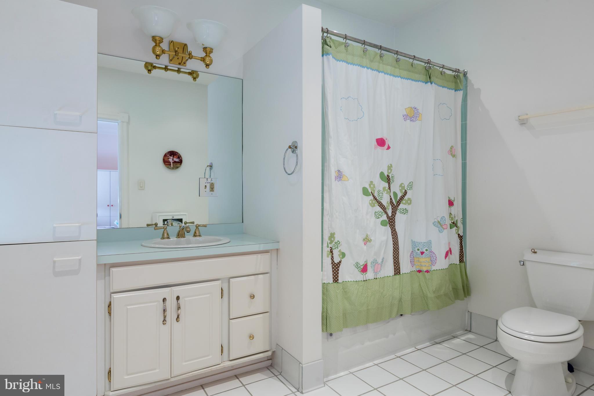 2127 R Street Northwest Washington, DC 20008 - Photo 19 of 28 Bath