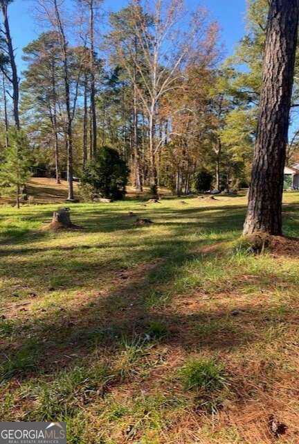 0 Woodland Court Union Point, GA 30669 - Photo 3 of 15 a view of a yard in front of a building