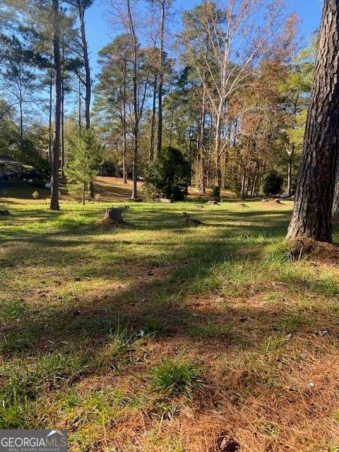 0 Woodland Court Union Point, GA 30669 - Photo 4 of 15