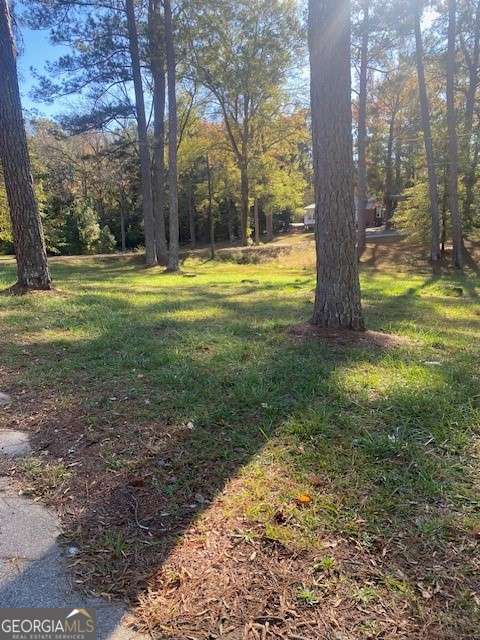 0 Woodland Court Union Point, GA 30669 - Photo 10 of 15 a view of a yard with palm trees