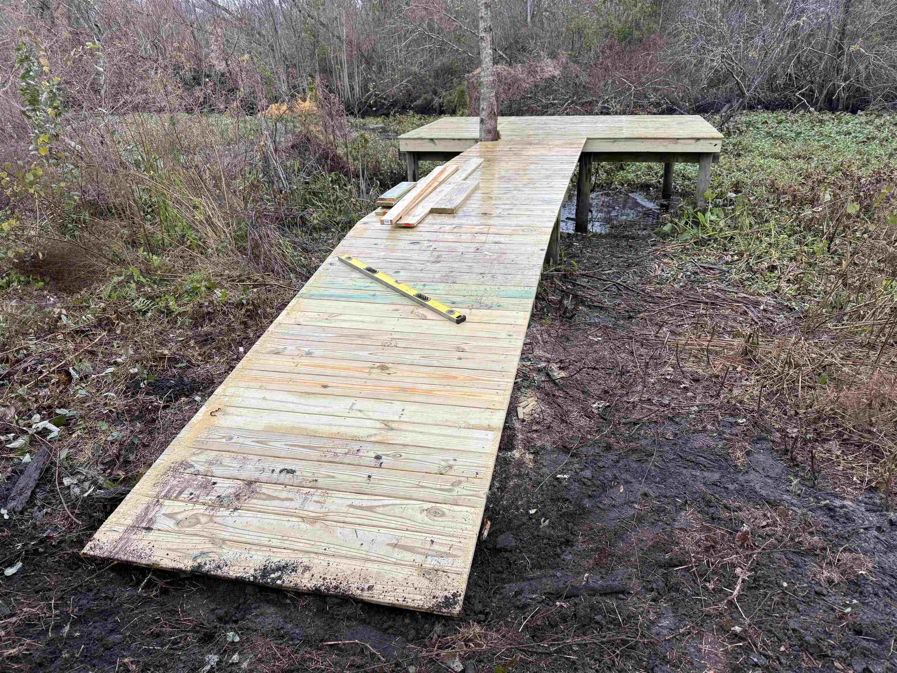 120 Ridgeline Avenue Satsuma, FL 32189 - Photo 15 of 18 a view of a yard with plants