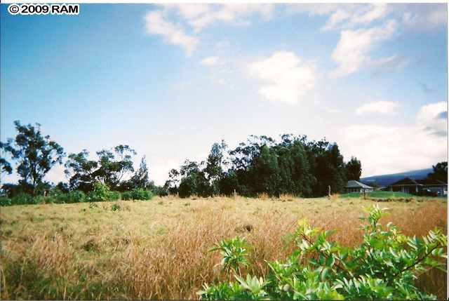 0 Hog Back Road Haiku, HI 96708 - Photo 1 of 4 a view of a yard with yellow house