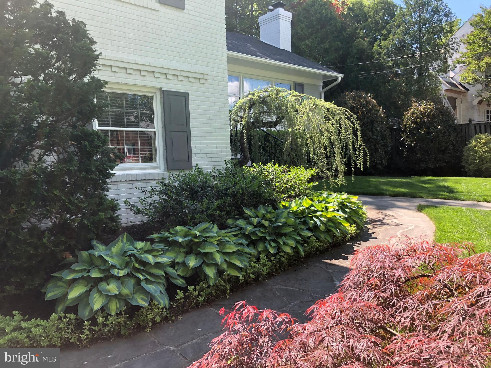 5512 Ridgefield Road Bethesda, MD 20816 - Photo 5 of 69 This is a summertime photo showing the foilage