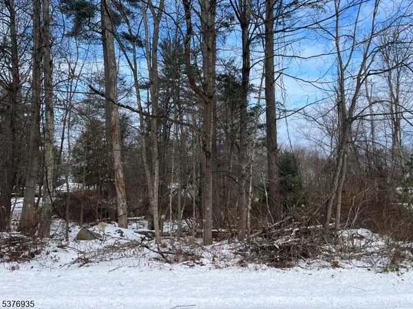 a view of a backyard of the house