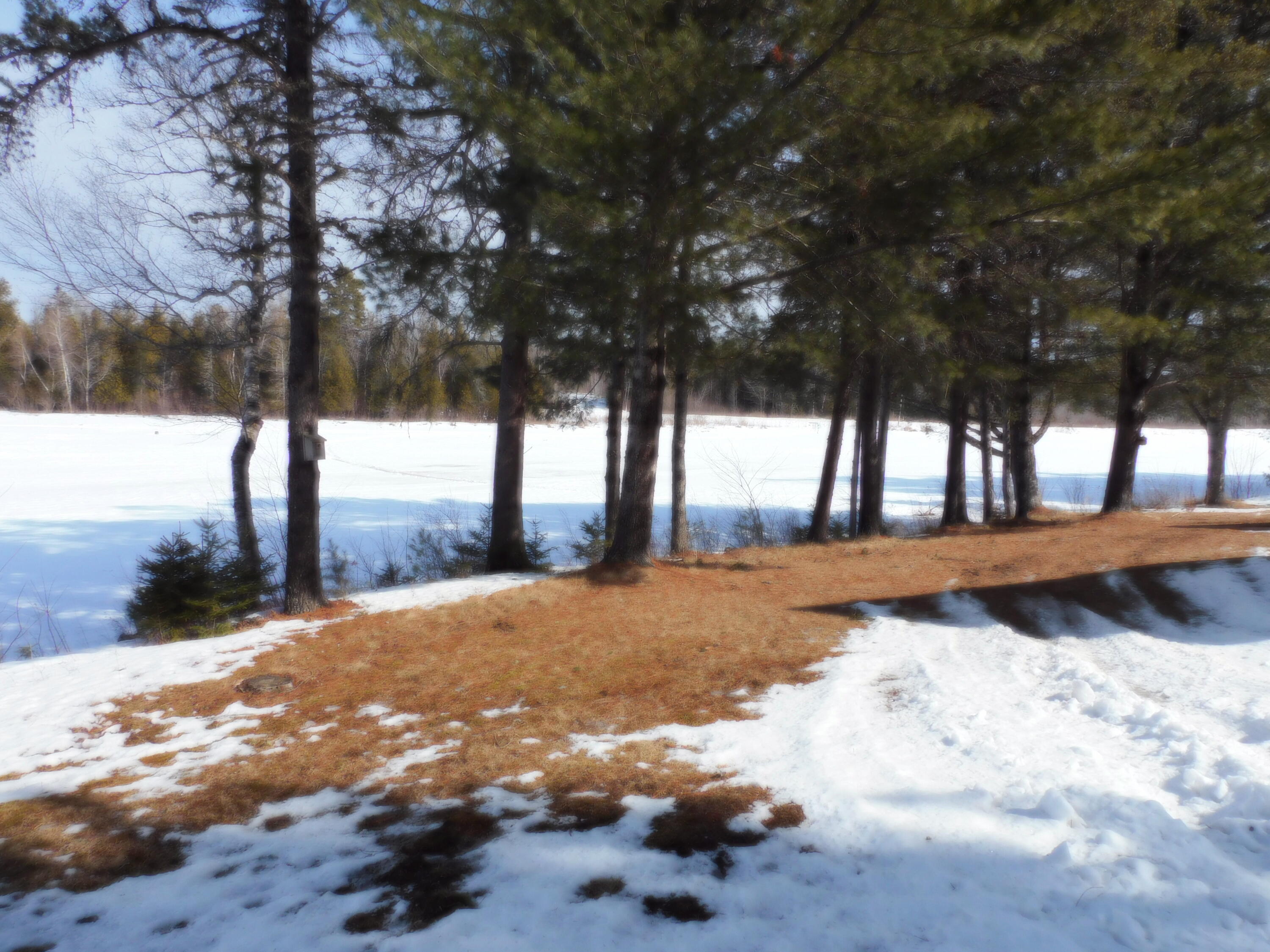 36 Lamb Farm Road Baileyville, ME 04694 - Photo 10 of 19 DSCN0242