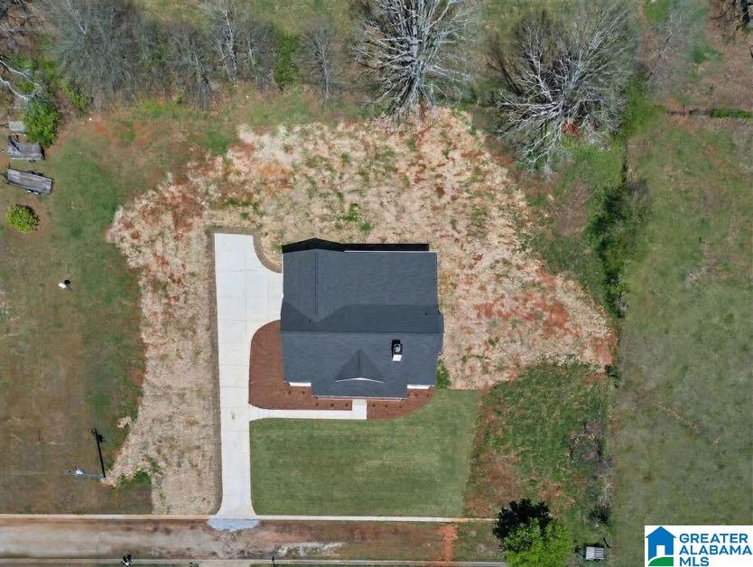 51 Fast Lane Ranburne, AL 36273 - Photo 2 of 42