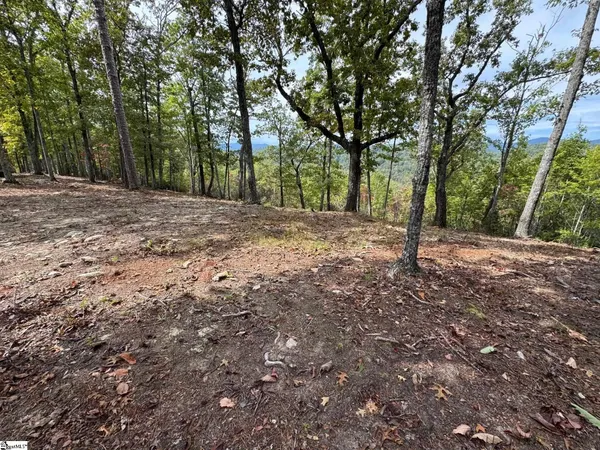 $895,000 | 220 Blue Bonnet Trail, Marietta, SC 29661