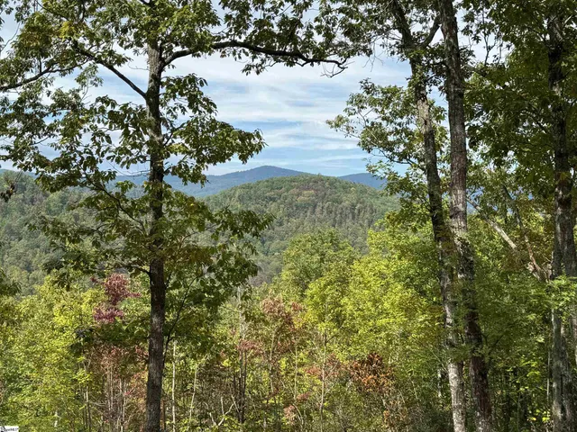 $895,000 | 220 Blue Bonnet Trail, Marietta, SC 29661