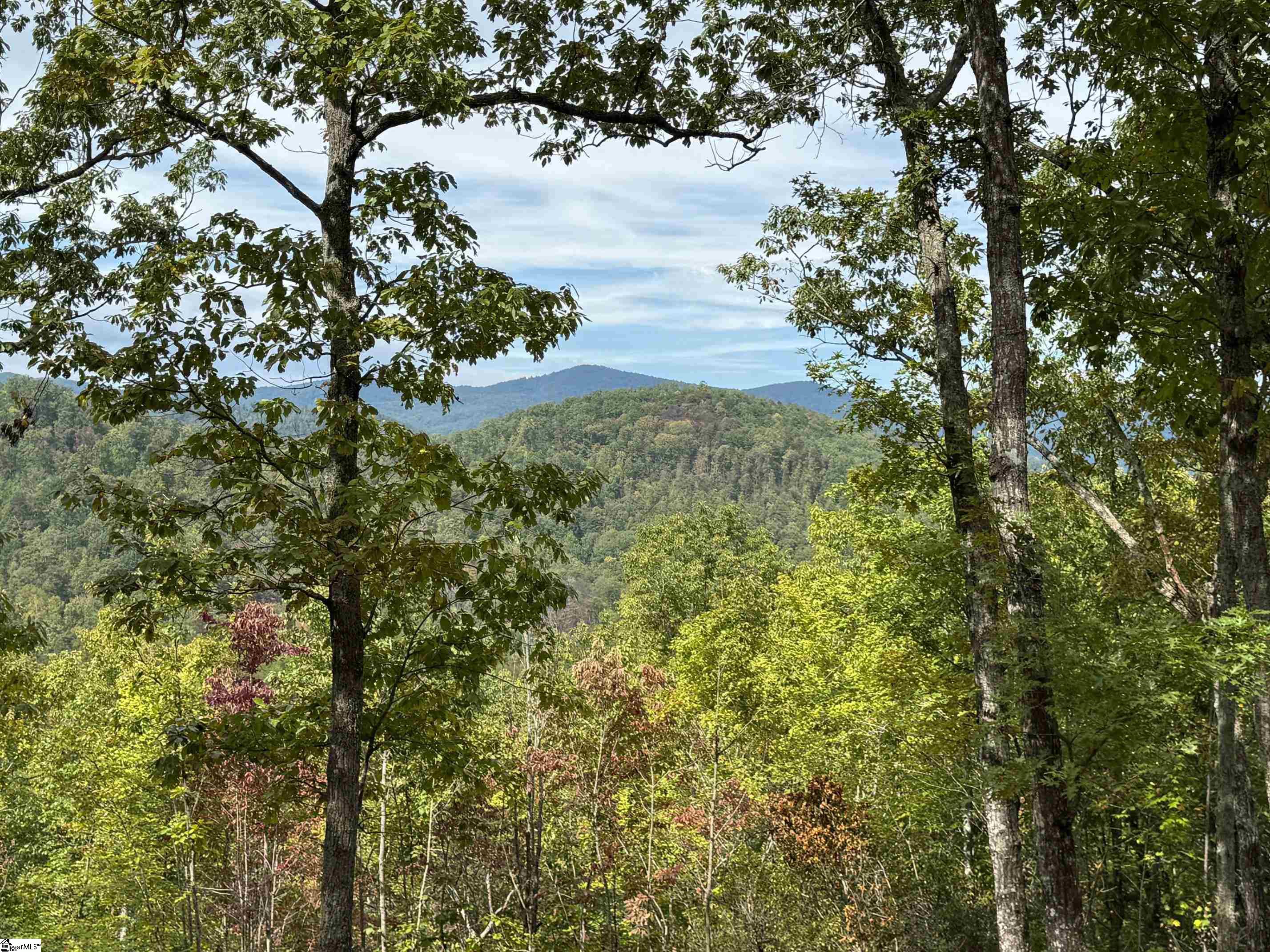 220 Blue Bonnet Trail Marietta, SC 29661 - Photo 2 of 4