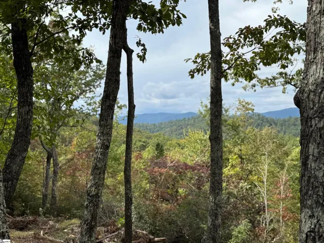 $895,000 | 220 Blue Bonnet Trail, Marietta, SC 29661