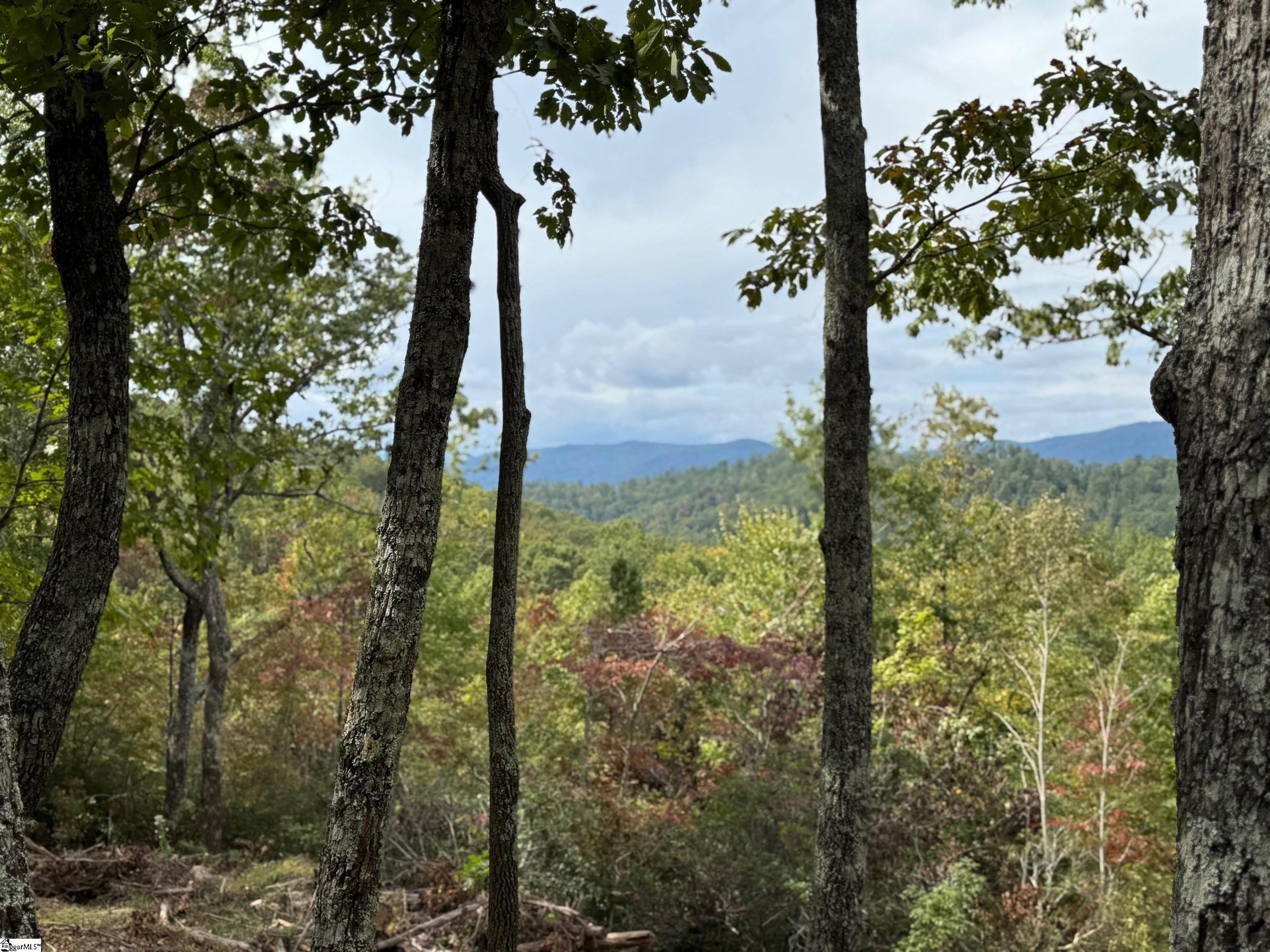 220 Blue Bonnet Trail Marietta, SC 29661 - Photo 3 of 4