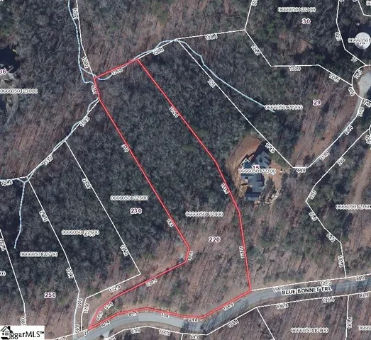 $895,000 | 220 Blue Bonnet Trail, Marietta, SC 29661