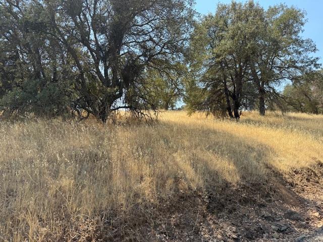 1976 Inyo Court Copperopolis, CA 95228 - Photo 11 of 11 a view of empty space and a yard