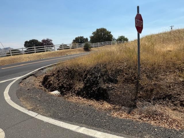 1976 Inyo Court Copperopolis, CA 95228 - Photo 2 of 11 a vase of flowers sitting on a floor next to a road