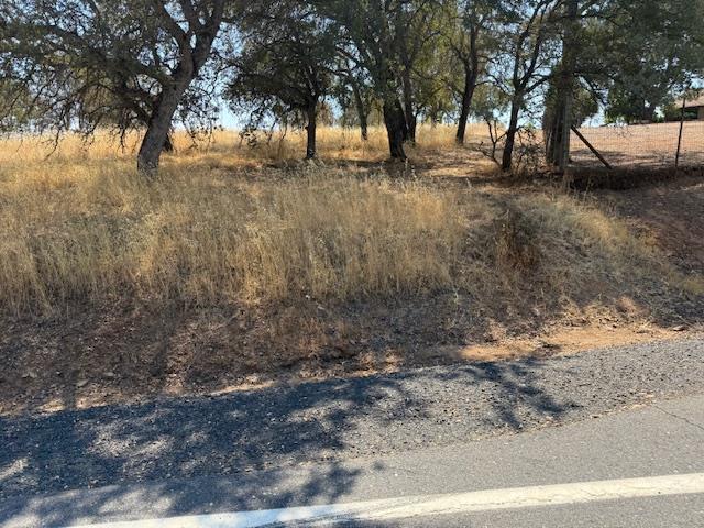 1976 Inyo Court Copperopolis, CA 95228 - Photo 7 of 11 a view of yard with trees