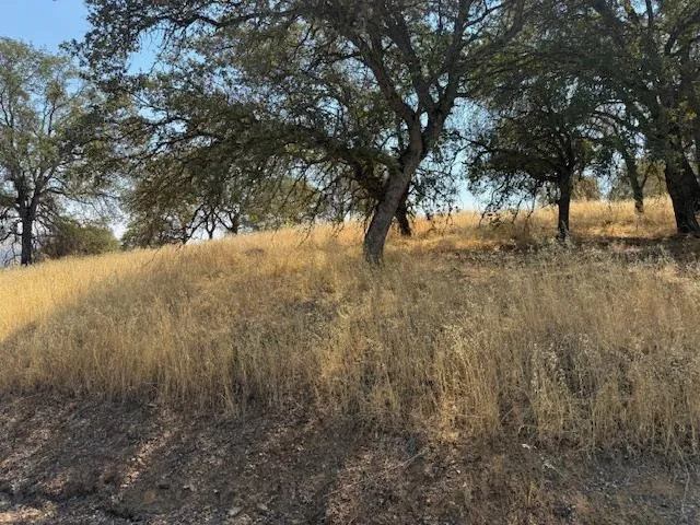 a view of empty space and a yard