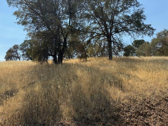 1976 Inyo Court Copperopolis, CA 95228 - Photo 10 of 11 a view of lake view and mountain view