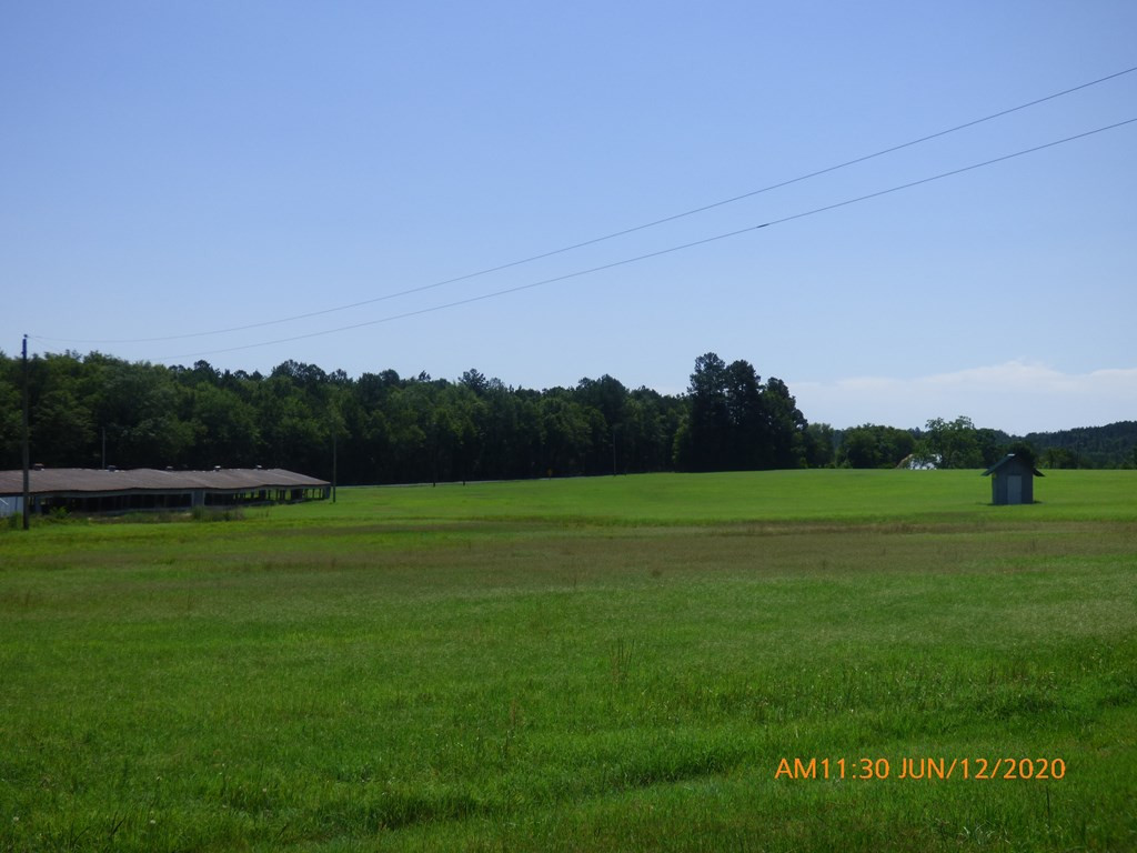 1615 Dairy Road Monetta, SC 29105 - Photo 21 of 30