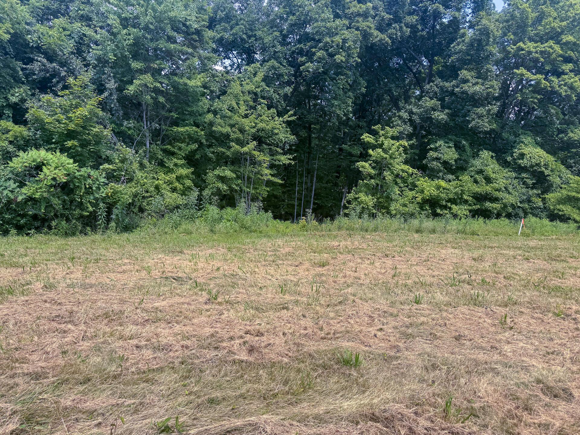 272 Golf Course Road, Unit TRACT 8 SKYLINEACRES) Waverly, OH 45690 - Photo 26 of 40 CT-26