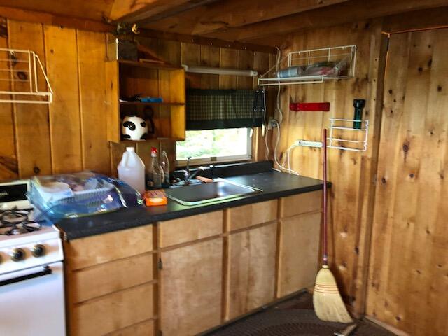 73 Bear Point Road Dover-Foxcroft, ME 04426 - Photo 4 of 9 Sterk 6