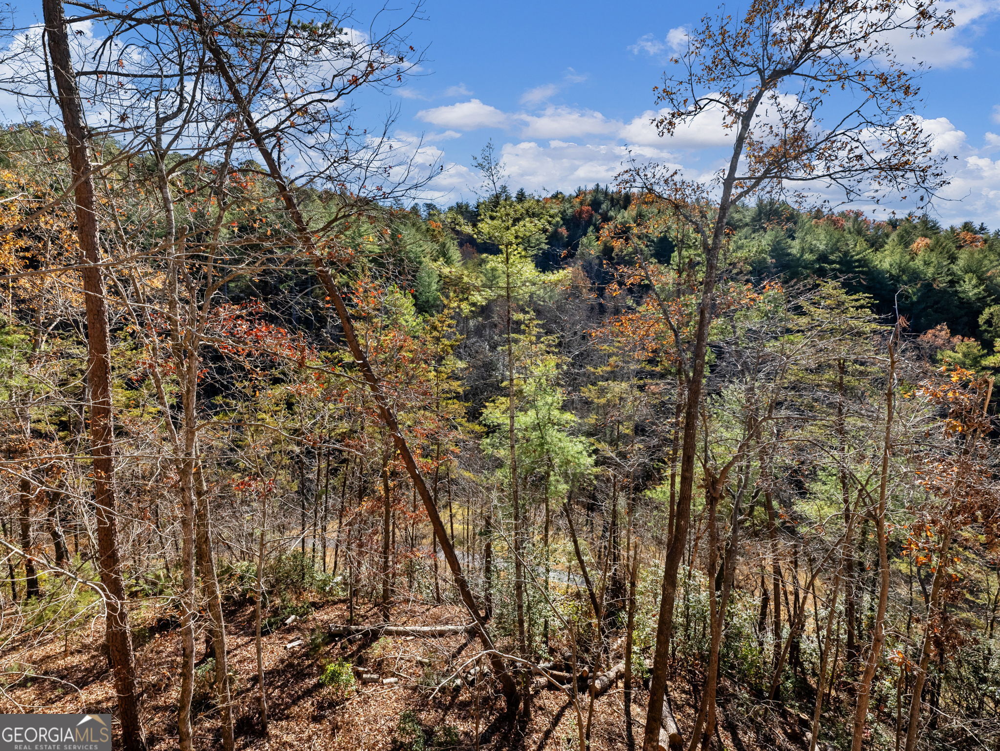 150 Alte Bruecke Strasse Helen, GA 30545 - Photo 42 of 43 a view of a bunch of trees