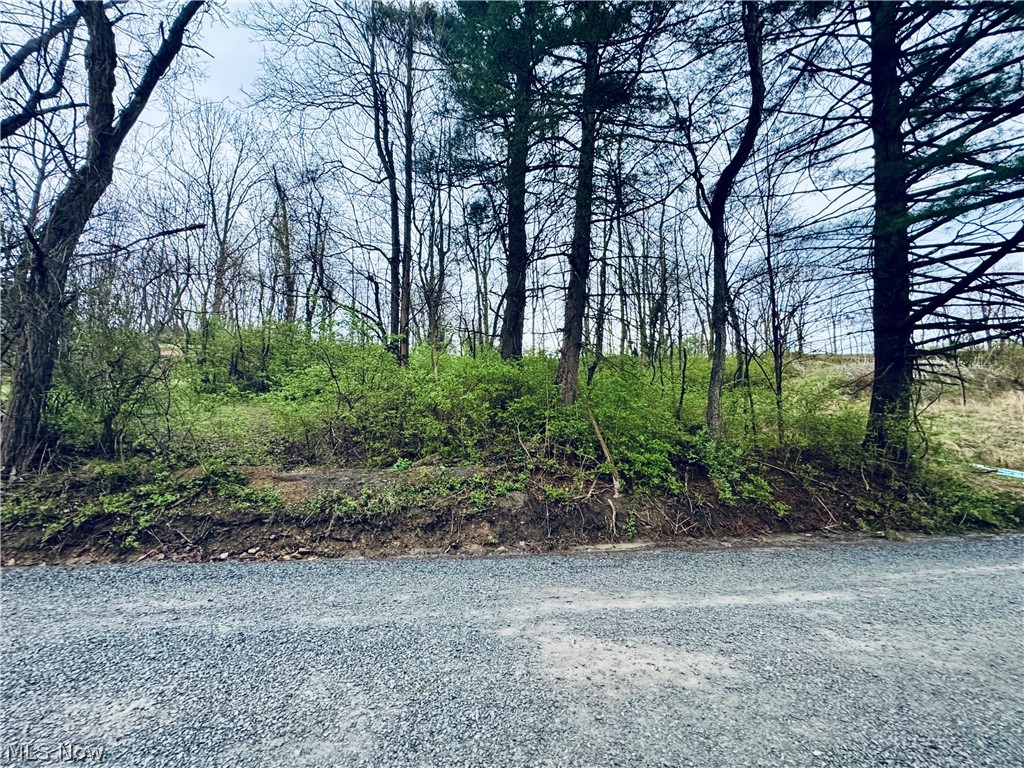Saylor Road Morgantown, WV 26501 - Photo 6 of 11 ROAD FRONTAGE