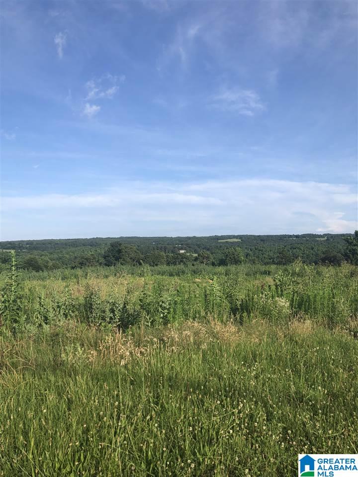 0 Highway 12 Oneonta Al Oneonta, AL 35121 - Photo 3 of 5