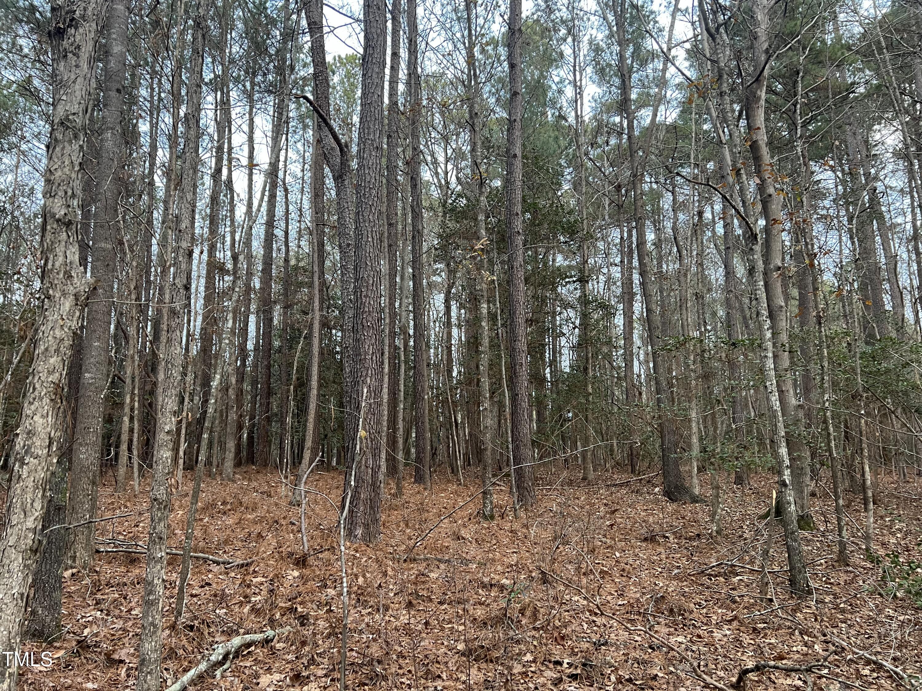 123 Anfield Road New Hill, NC 27562 - Photo 3 of 13 a view of lots of trees