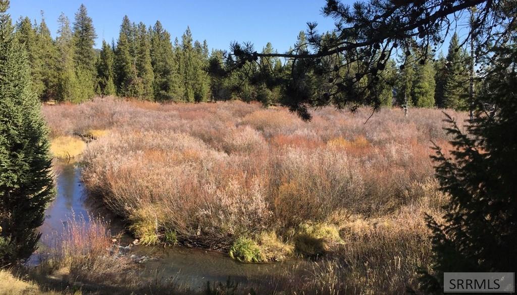 4047 Kickapoo Circle Island Park, ID 83429 - Photo 2 of 5 Hotel Creek