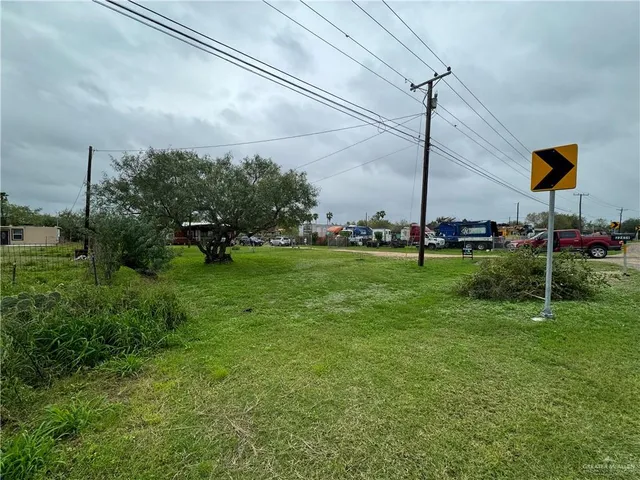 a view of a trees with a big yard