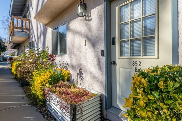 a view of a pathway of the house