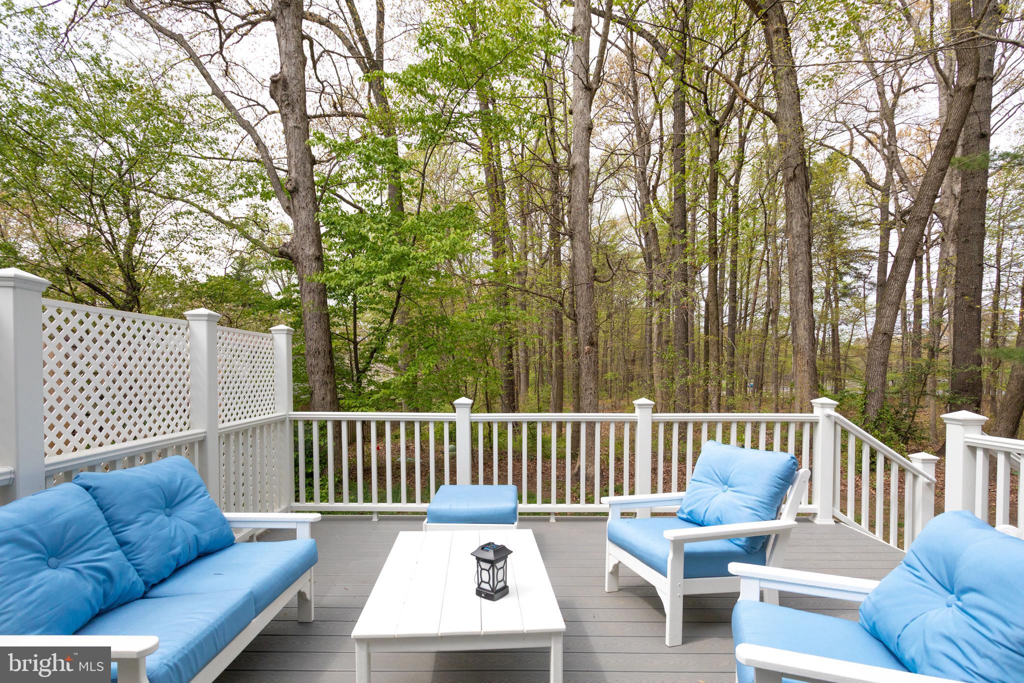 12204 Golden Sands Lane Reston, VA 20191 - Photo 42 of 48 Looks out to woods