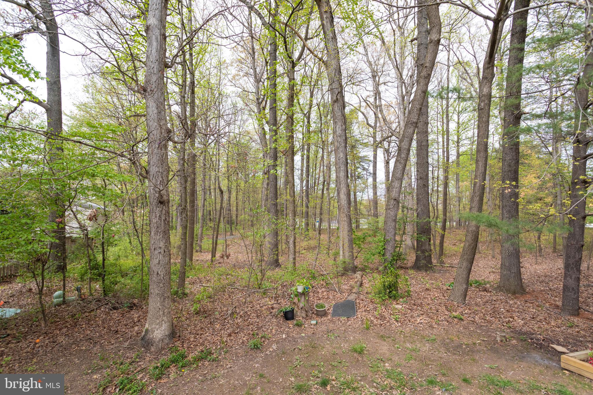 12204 Golden Sands Lane Reston, VA 20191 - Photo 47 of 48