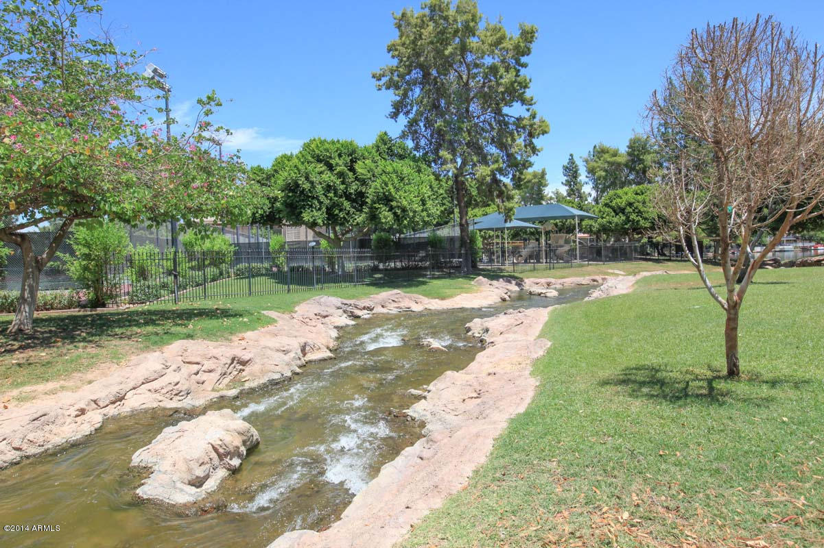 5526 South Jolly Roger Road Tempe, AZ 85283 - Photo 42 of 77 Creek Behind Home