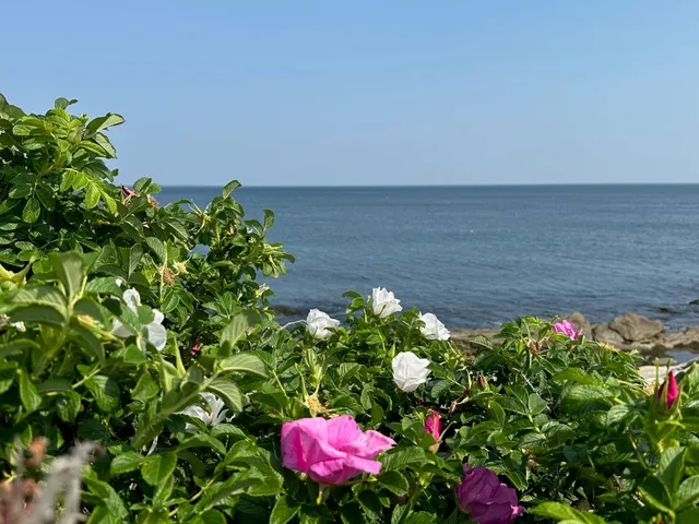 $159,900 | 4 Slate Run, North Hampton, NH 03862